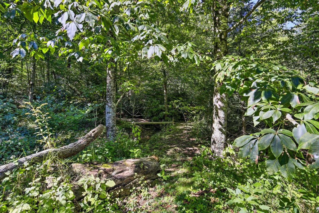 Dog-Friendly Cabin, 9 Mi To Sugar Mountain Resort Banner Elk Buitenkant foto